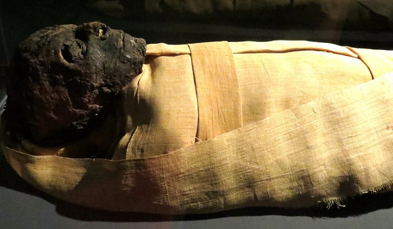 Ahmose I. Safari Afrika