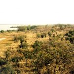 Kiang West Nationalpark In Gambia