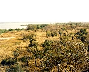 Kiang West Nationalpark in Gambia