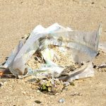 Plastikmüll am Roten Meer