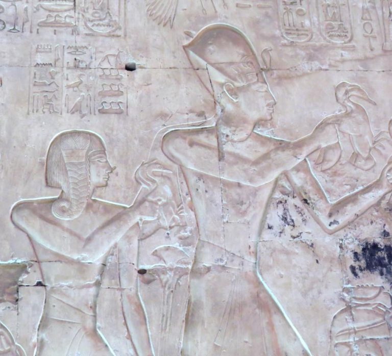 Amunherchepeschef Safari Afrika